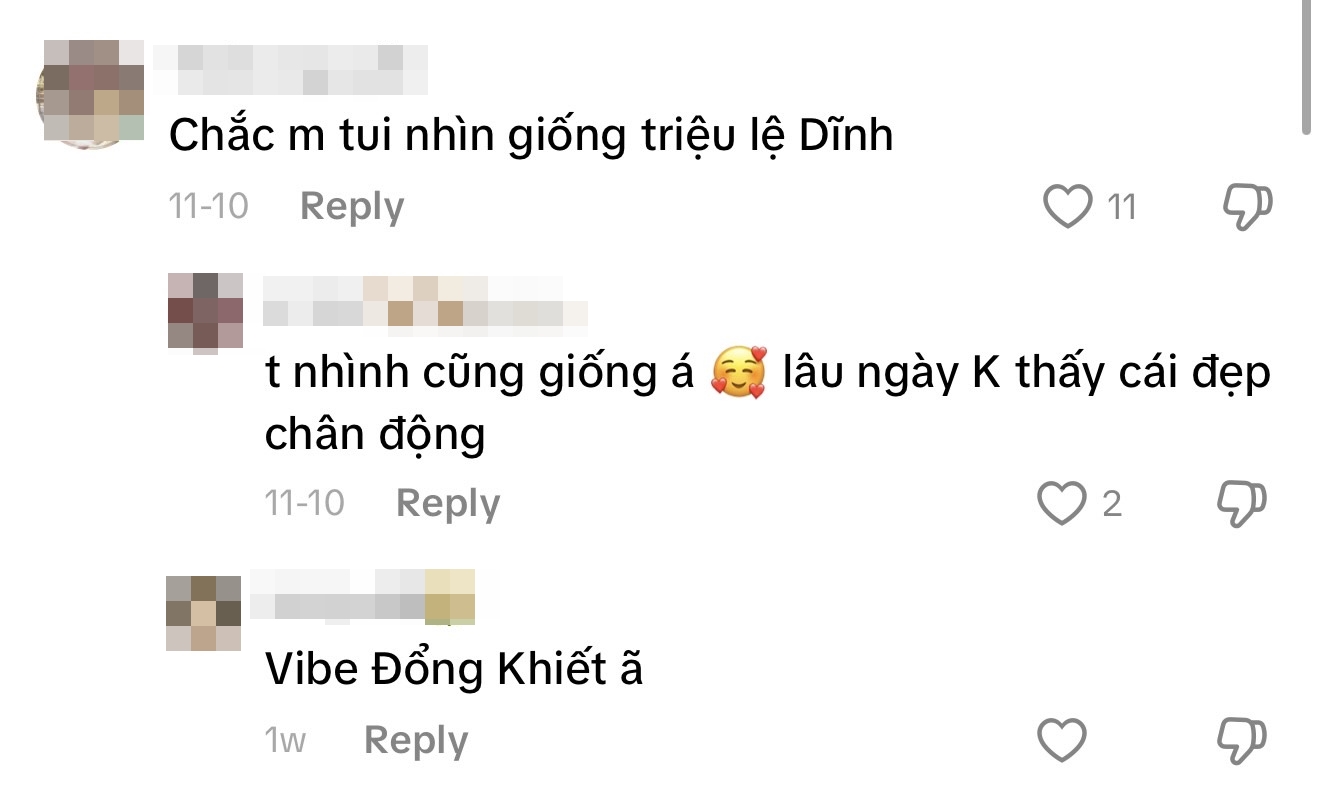 Việt Nam có 1 mỹ nhân giống hàng loạt minh tinh châu Á: Đẹp tựa Baifern Pimchanok, sang như Kim Ji Won, hao hao Triệu Lệ Dĩnh- Ảnh 6.