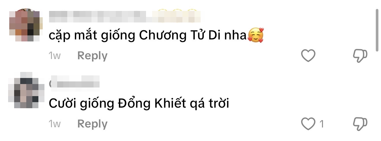 Việt Nam có 1 mỹ nhân giống hàng loạt minh tinh châu Á: Đẹp tựa Baifern Pimchanok, sang như Kim Ji Won, hao hao Triệu Lệ Dĩnh- Ảnh 5.