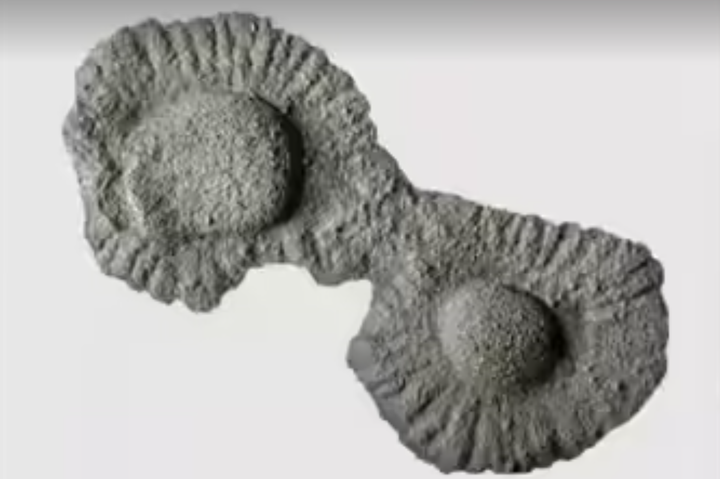 Bí ẩn lò phản ứng hạt nhân tự nhiên 2 tỷ năm tuổi ở châu Phi- Ảnh 2.