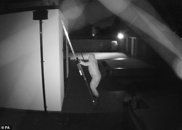 Dàn sao bóng đá phải thuê võ sĩ MMA bảo vệ khi băng đảng tội phạm coi khu nhà triệu phú là “Disneyland”- Ảnh 9. Dàn sao bóng đá phải thuê võ sĩ MMA bảo vệ khi băng đảng tội phạm coi khu nhà triệu phú là “Disneyland”- Ảnh 9.