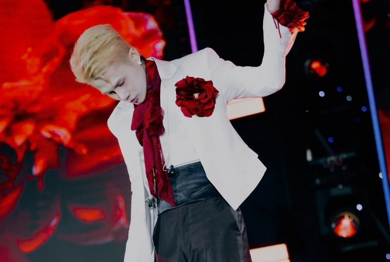 Thẩm định lại lý lịch nghệ sĩ- Ảnh 5.