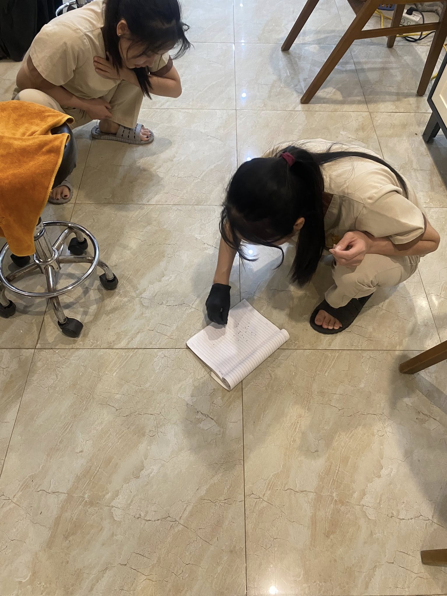 Sốc: 60 con chấy b&ograve; ra từ m&aacute;i t&oacute;c của 