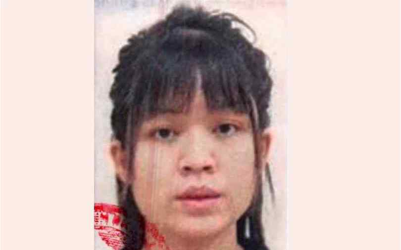 Truy n&atilde; Nguyễn Ho&agrave;ng Thanh Tr&uacute;c