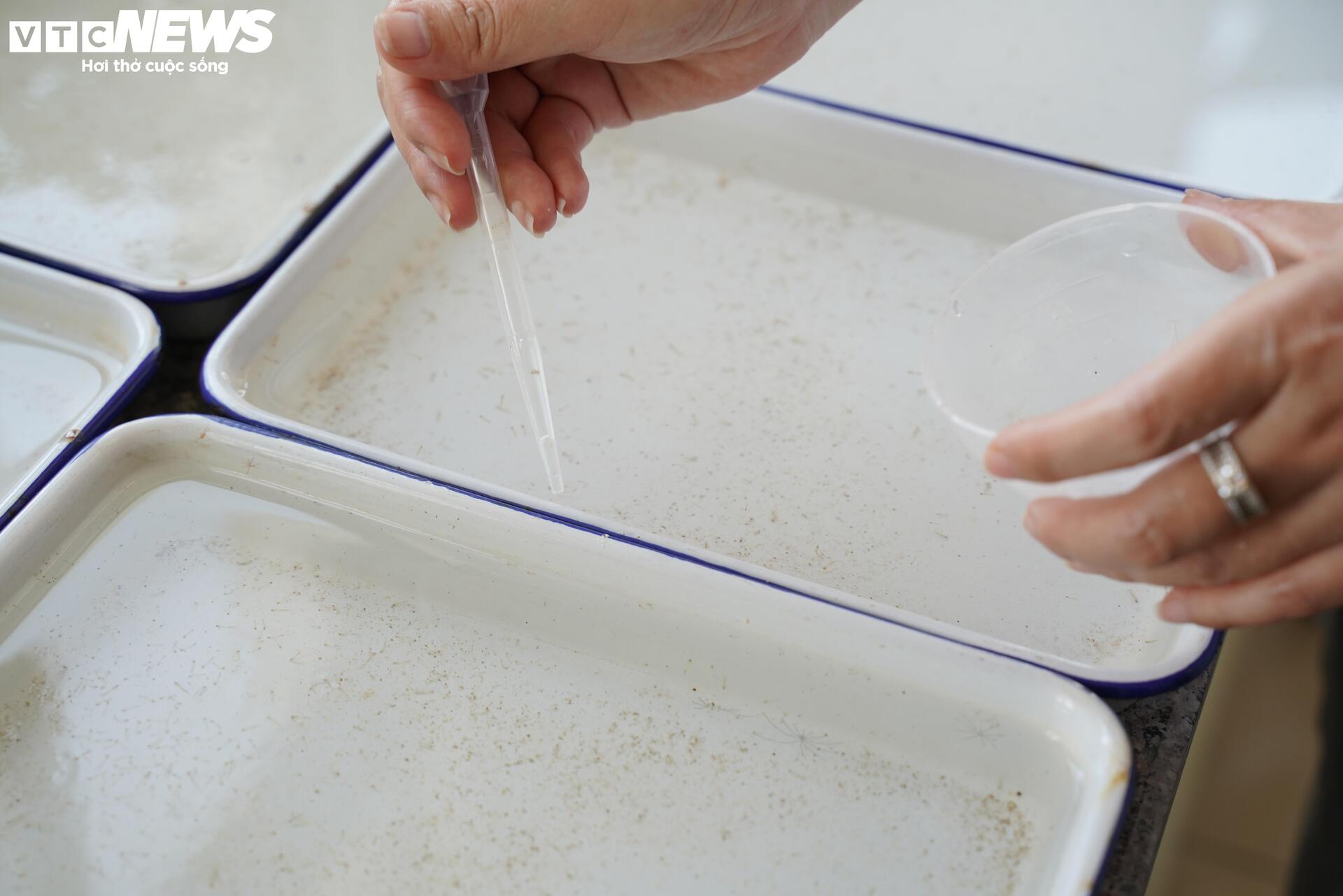 Bên trong 'công xưởng' nuôi muỗi để dập dịch sốt xuất huyết- Ảnh 6.