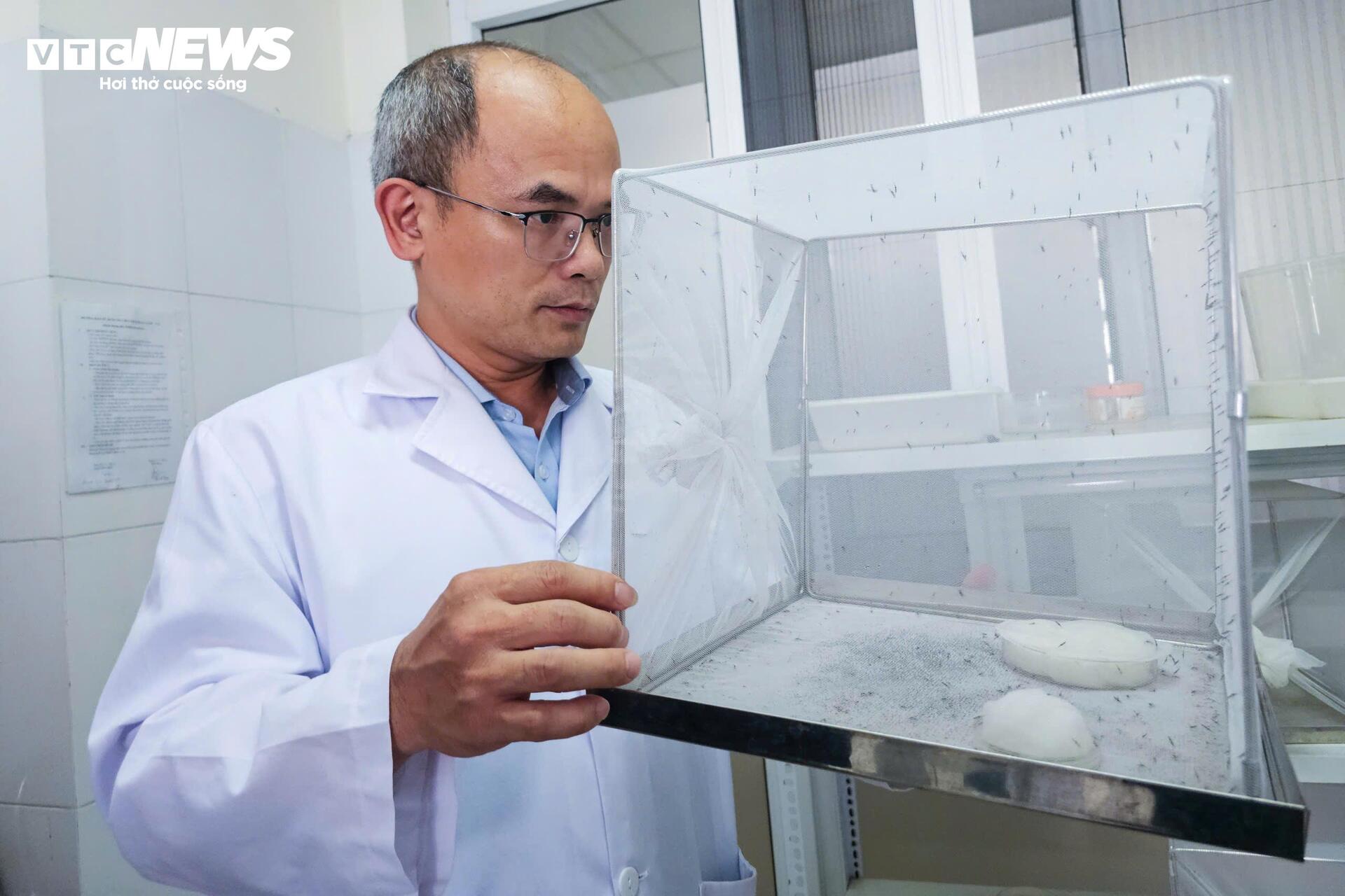 Bên trong 'công xưởng' nuôi muỗi để dập dịch sốt xuất huyết- Ảnh 5.