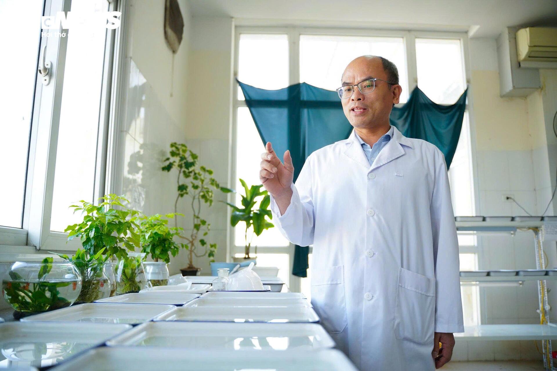 Bên trong 'công xưởng' nuôi muỗi để dập dịch sốt xuất huyết- Ảnh 11.