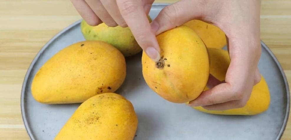 4 dấu hiệu nhận biết xoài chín ngọt tự nhiên, thịt dày, hạt lép- Ảnh 2. 4 dấu hiệu nhận biết xoài chín ngọt tự nhiên, thịt dày, hạt lép- Ảnh 2.