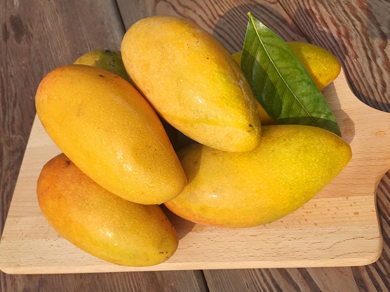 4 dấu hiệu nhận biết xoài chín ngọt tự nhiên, thịt dày, hạt lép- Ảnh 1. 4 dấu hiệu nhận biết xoài chín ngọt tự nhiên, thịt dày, hạt lép- Ảnh 1.