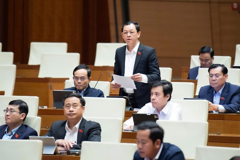 Đại biểu ngành y muốn gặp người chấp bút báo cáo gửi Quốc hội- Ảnh 1.