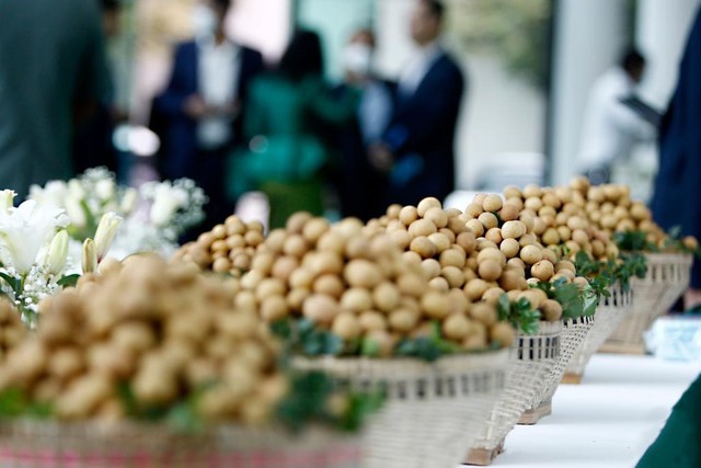 Đặc sản triệu đô của Việt Nam được Trung Quốc siêu mê, mệnh danh là 