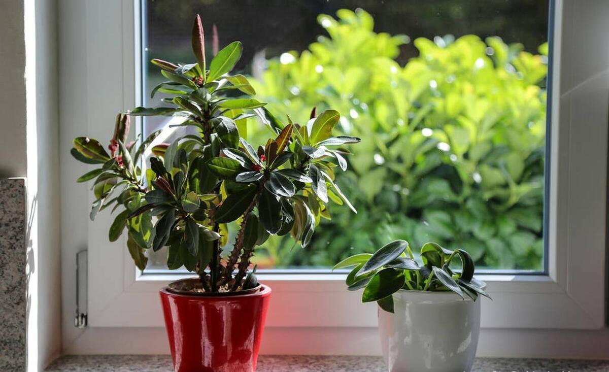 "Gió lùa mang xui xẻo, mất cả người lẫn của" – làm sai là tự khóa chặt đường tiền bạc của chính mình- Ảnh 4.