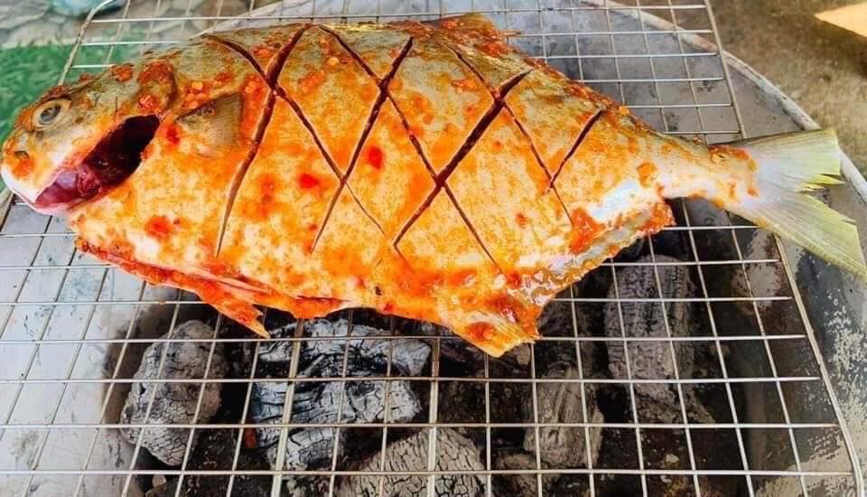 Loại cá Loại cá