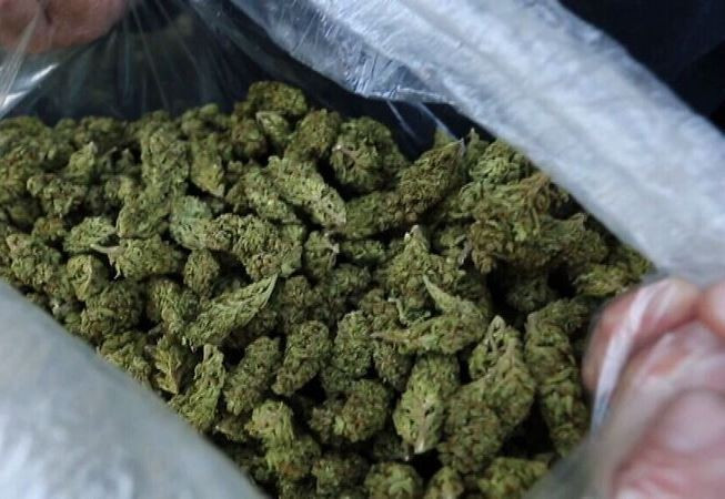 'Cô tiên thơm' ổ nhóm bán cần sa qua mạng lớn nhất từ trước tới nay bị bóc gỡ- Ảnh 1.