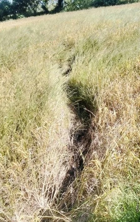 C&aacute;nh đồng gần ch&ugrave;a bỗng đổi dạng trong một đ&ecirc;m, d&acirc;n l&agrave;ng x&ocirc;n xao 