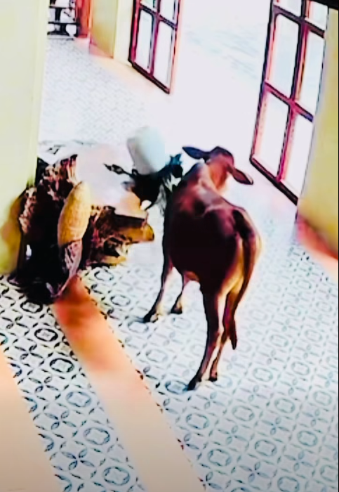 Ngã ngửa với hình ảnh từ camera "mấy ông khách" vào homestay nhà diễn viên Hà Việt Dũng đập đồ- Ảnh 3.