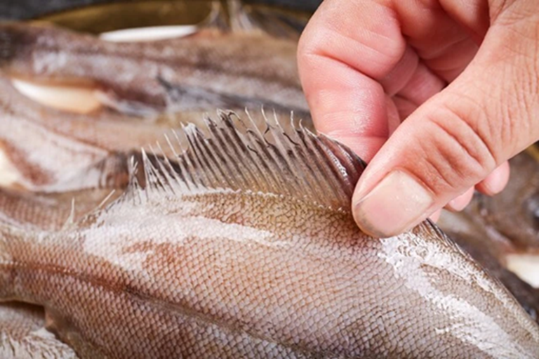 Đừng mua 5 loại cá này nữa, nhà có sẵn cũng đừng ăn, tôi mừng vì người bán cá đã tiết lộ- Ảnh 2.