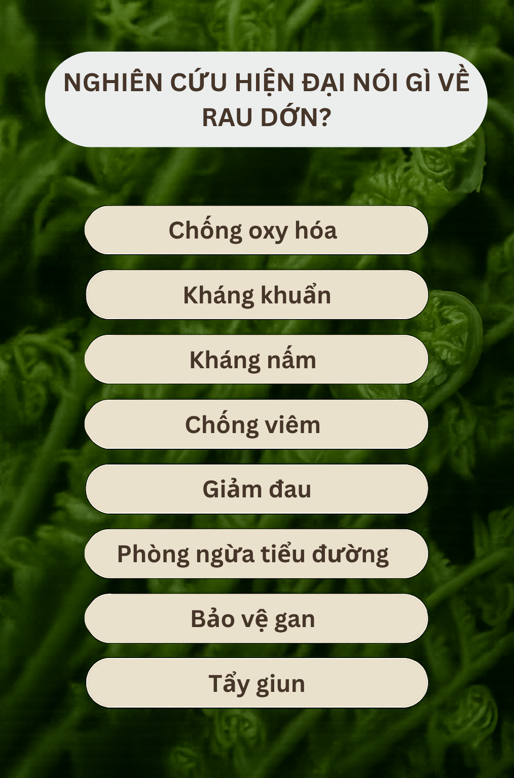 Loại Rau Tốt Như Thuốc Bổ, Người Trung Quốc Ví Là 