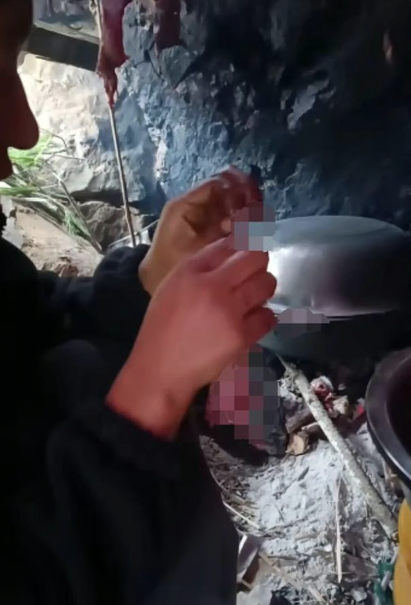 Ăn 50 con chuột, giảm 14kg: Cô gái trẻ “lột xác” sau 35 ngày sinh tồn giữa thiên nhiên hoang dã- Ảnh 4. Ăn 50 con chuột, giảm 14kg: Cô gái trẻ “lột xác” sau 35 ngày sinh tồn giữa thiên nhiên hoang dã- Ảnh 4.