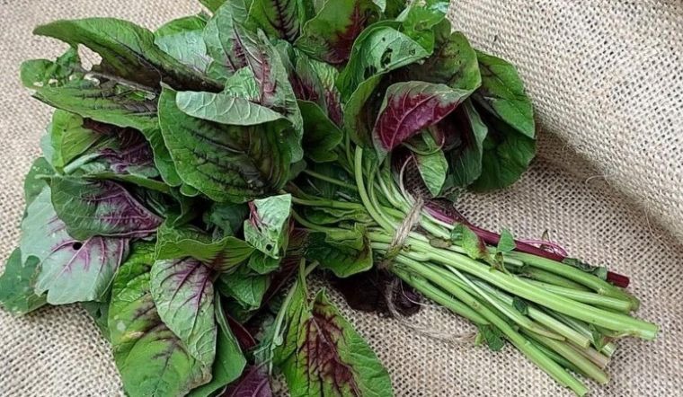 7 loại rau tươi ngon, dễ mua với gi&aacute; rẻ quanh năm- Ảnh 2.