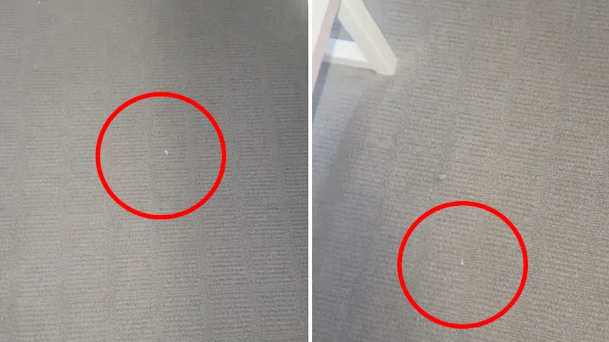 Chủ nhà đến kiểm tra, người thuê bị hạch sách đủ đường vì trên thảm có 3 vết bụi nhưng như thế vẫn chưa phải yêu cầu vô lý nhất- Ảnh 1.