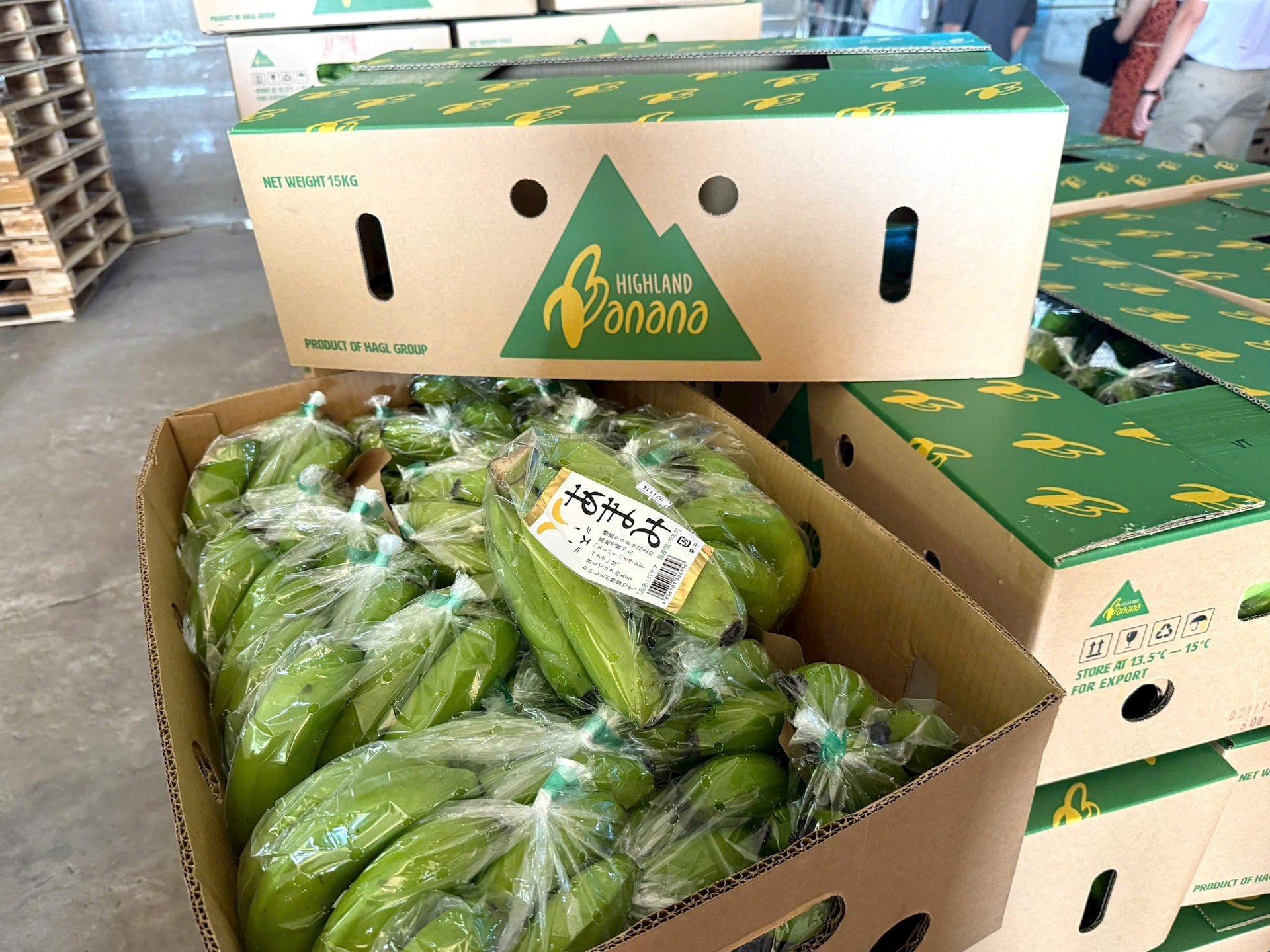 9 tháng mới lãi 1.300 tỷ, vì sao bầu Đức tuyên bố HAGL cả năm lãi 2.800 tỷ cao nhất lịch sử?- Ảnh 6.