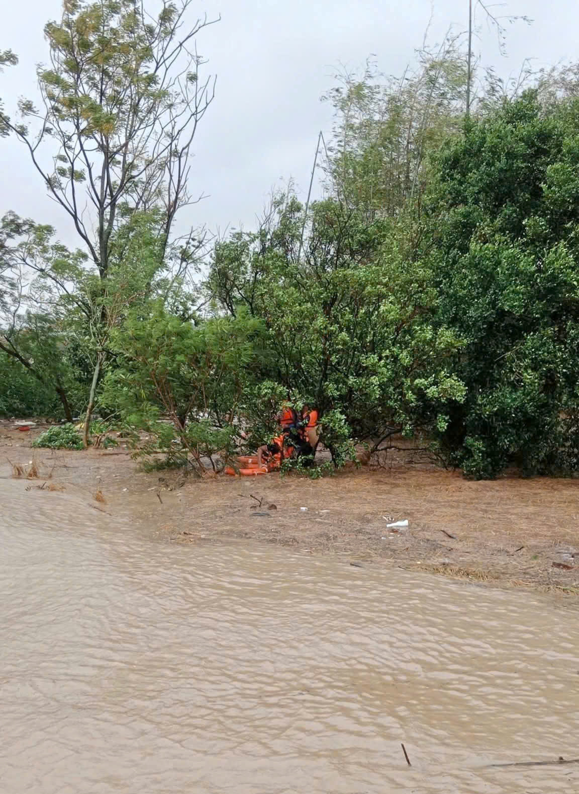 Cận cảnh giải cứu người dân mắc kẹt trên ngọn cây, mái nhà- Ảnh 3.