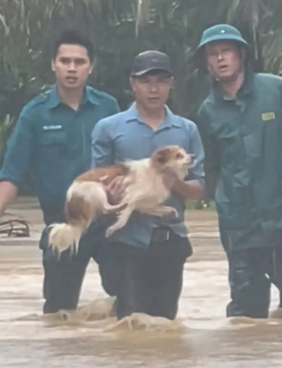 Khoảnh khắc giải cứu những ch&uacute; c&uacute;n giữa mưa lũ lịch sử ở miền Trung: V&igrave; sinh mạng n&agrave;o cũng qu&yacute; gi&aacute;- Ảnh 7.