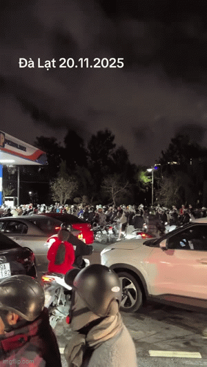 Tin đồn thất thiệt khiến hàng nghìn người dân Đà Lạt đổ ra đường: Tình trạng đã được khắc phục- Ảnh 1.