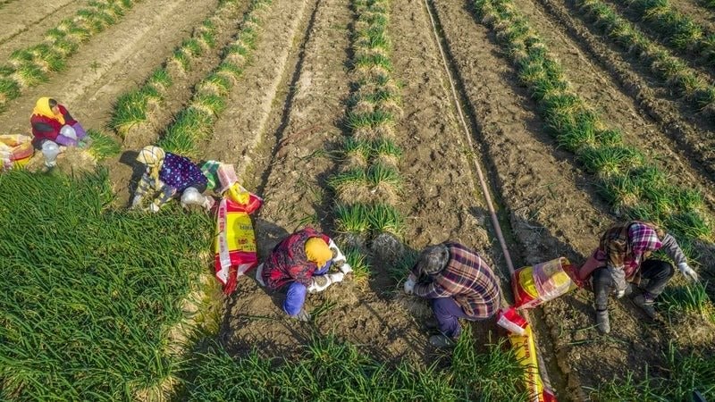 Bị phương Tây mạnh tay áp thuế xe điện, Trung Quốc lập tức tung món ‘võ cổ truyền’ từng trăm trận trăm thắng - bây giờ ai mới đang gặp áp lực?- Ảnh 1.