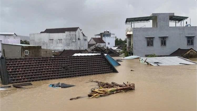 Bác tin 10 người tử vong vì đi vớt tôm hùm dính axit sunfuric- Ảnh 2. Bác tin 10 người tử vong vì đi vớt tôm hùm dính axit sunfuric- Ảnh 2.