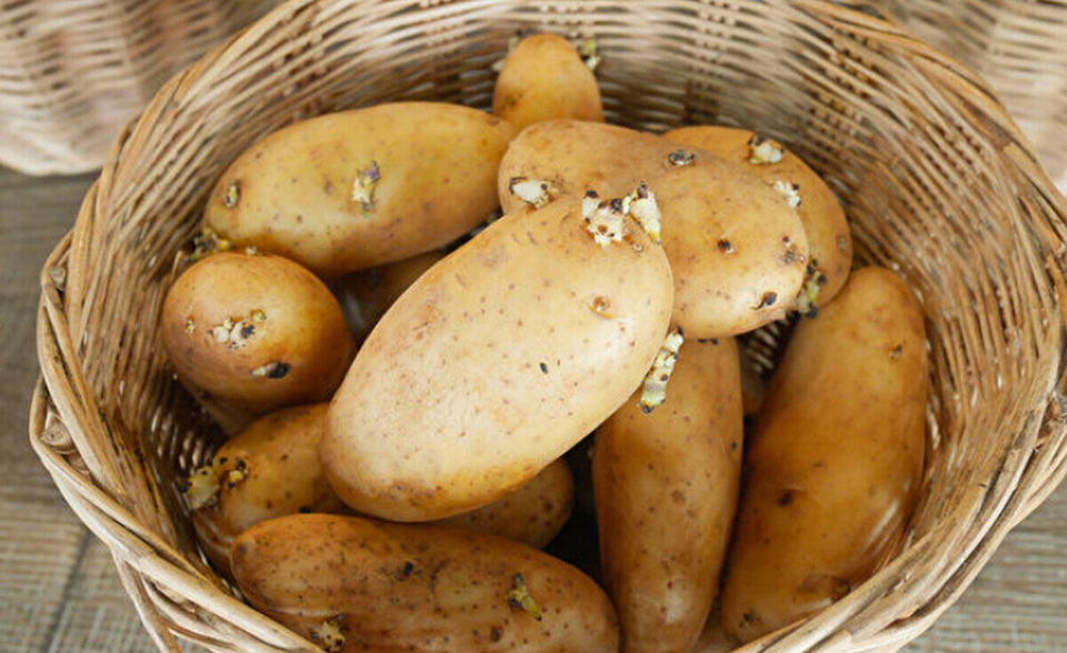 5 Loại Rau Ăn Nhiều 