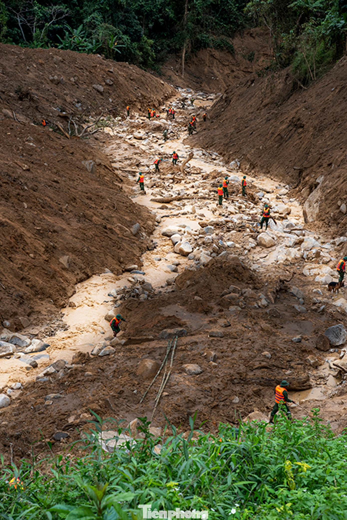 Cận cảnh những chú chó cứu hộ Làng Nủ đang tìm người mất tích ở Đà Nẵng- Ảnh 1.
