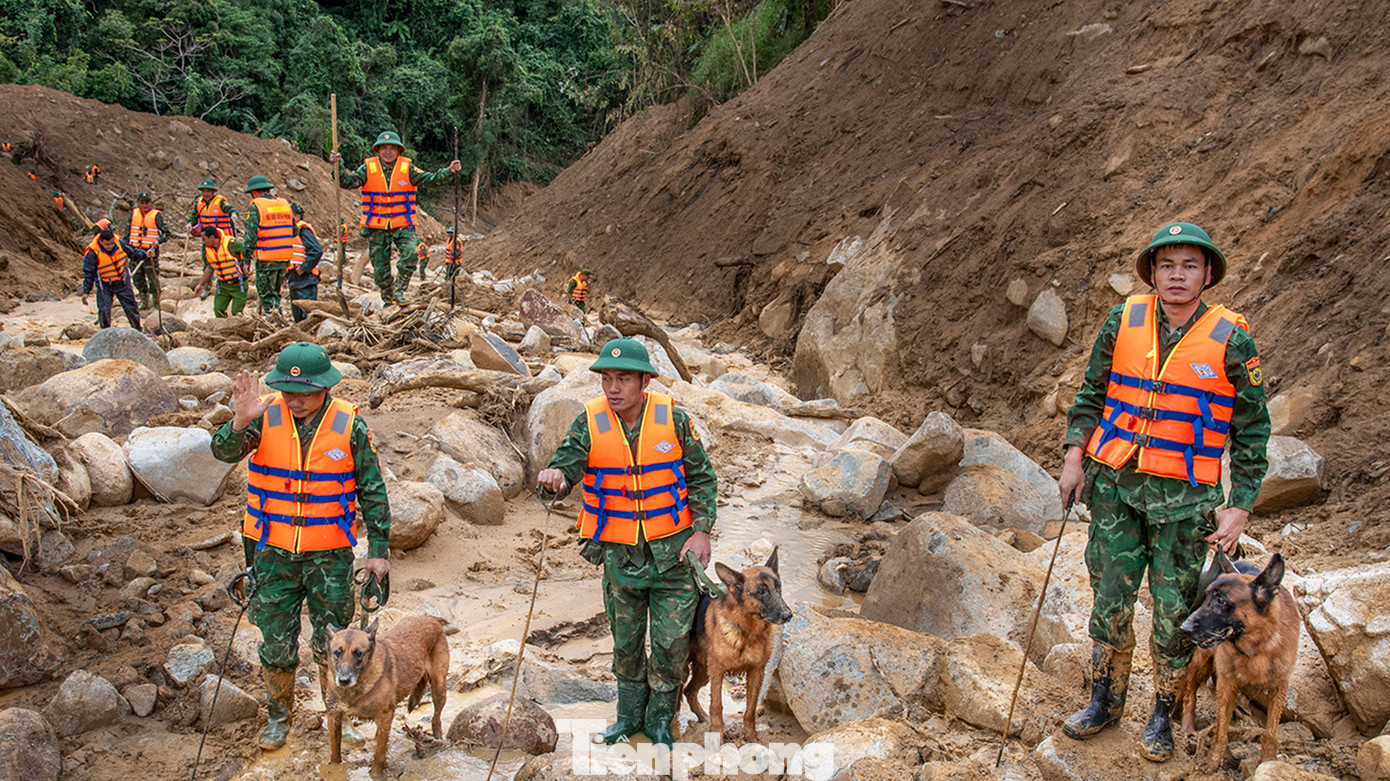 Cận cảnh những chú chó cứu hộ Làng Nủ đang tìm người mất tích ở Đà Nẵng- Ảnh 5.