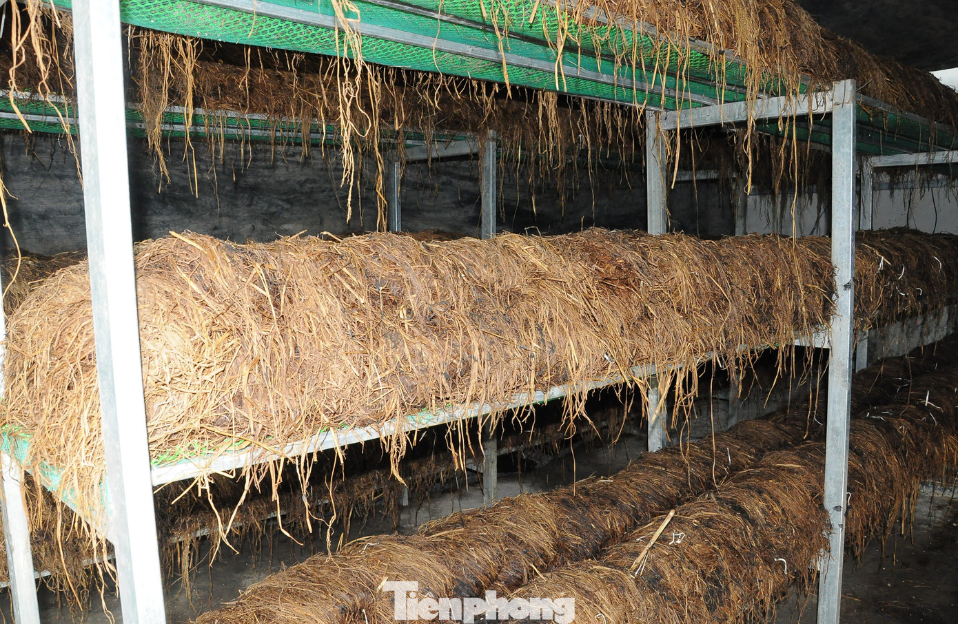 Xót xa 'kho vàng' bị đốt bỏ, vừa lãng phí lại gây ô nhiễm môi trường- Ảnh 1.