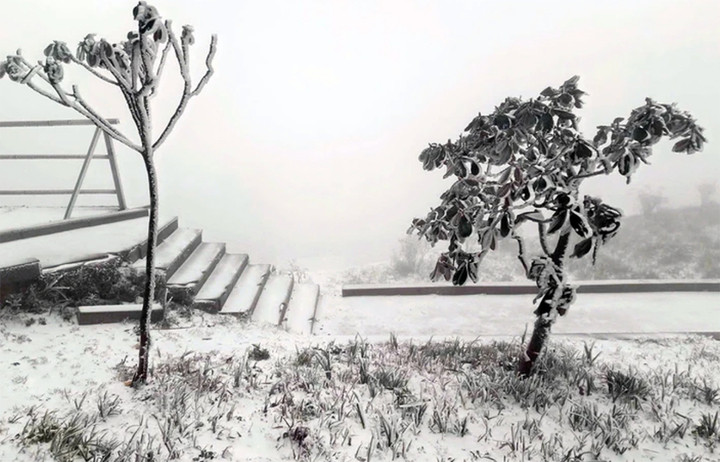 Mùa đông năm nay có thể xuất hiện tuyết và băng giá- Ảnh 1.