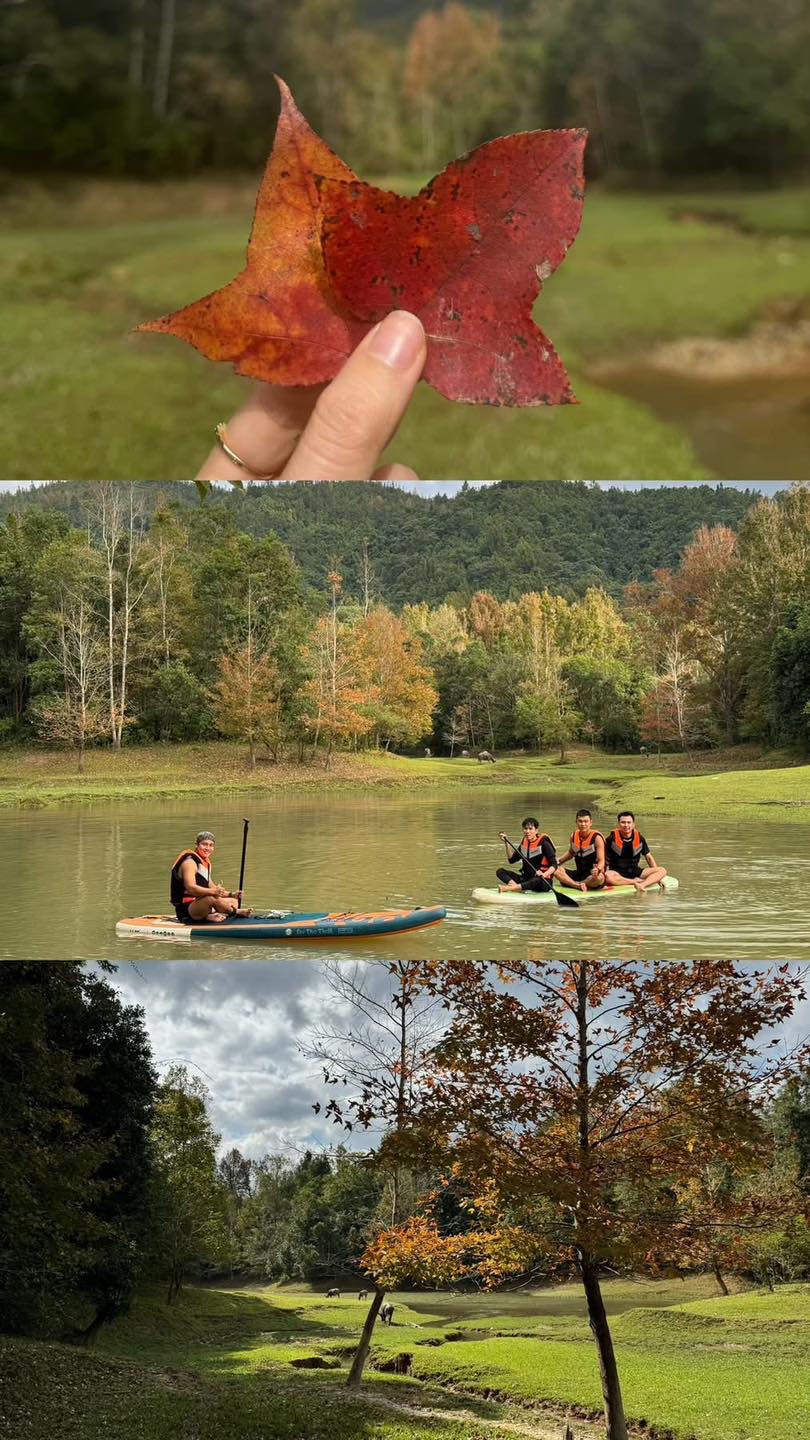 Không phải Hàn Quốc, Nhật Bản, đây là rừng phong ở Việt Nam: Du khách nhận xét "Chẳng cần đi nước ngoài"- Ảnh 8.
