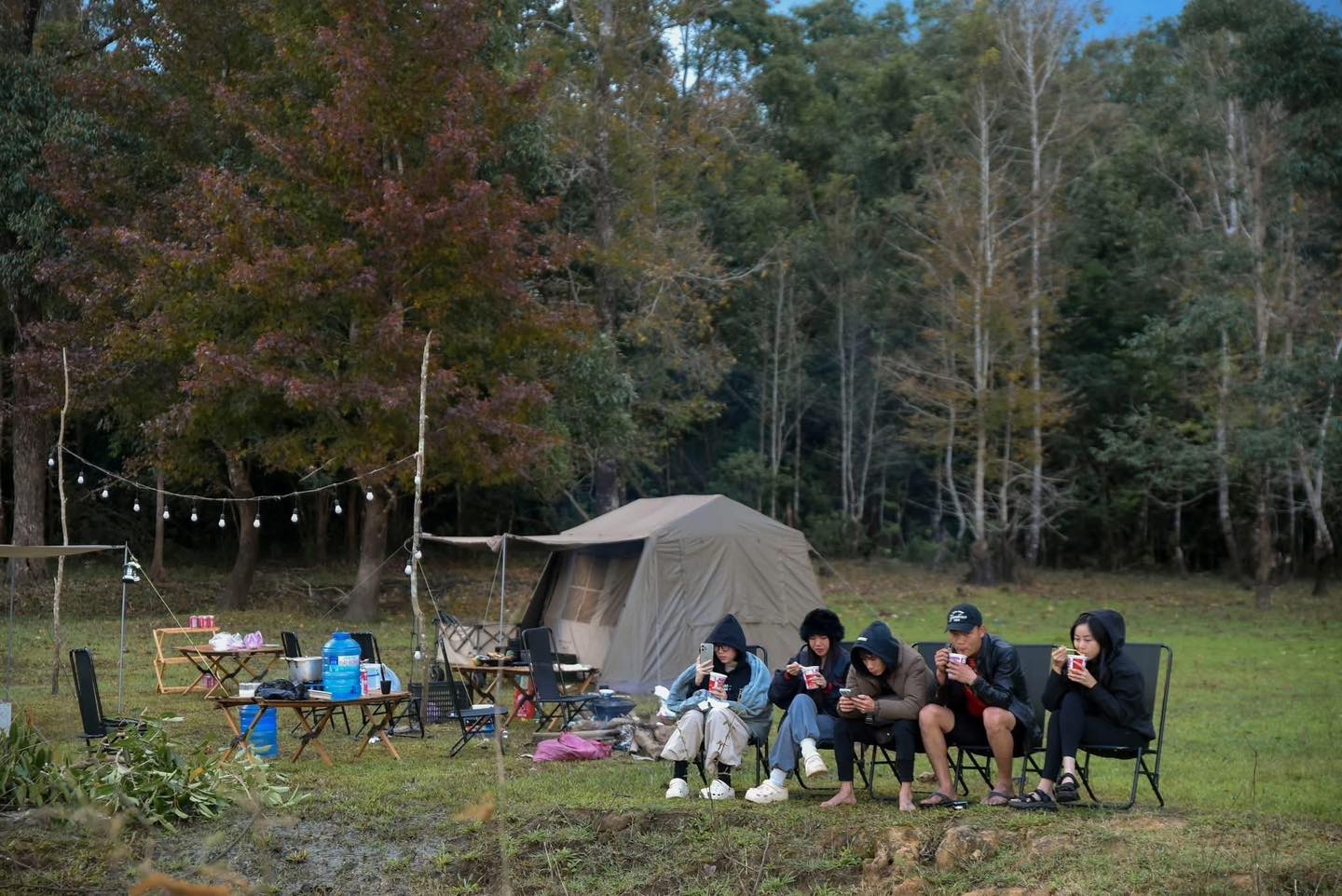 Không phải Hàn Quốc, Nhật Bản, đây là rừng phong ở Việt Nam: Du khách nhận xét "Chẳng cần đi nước ngoài"- Ảnh 7.