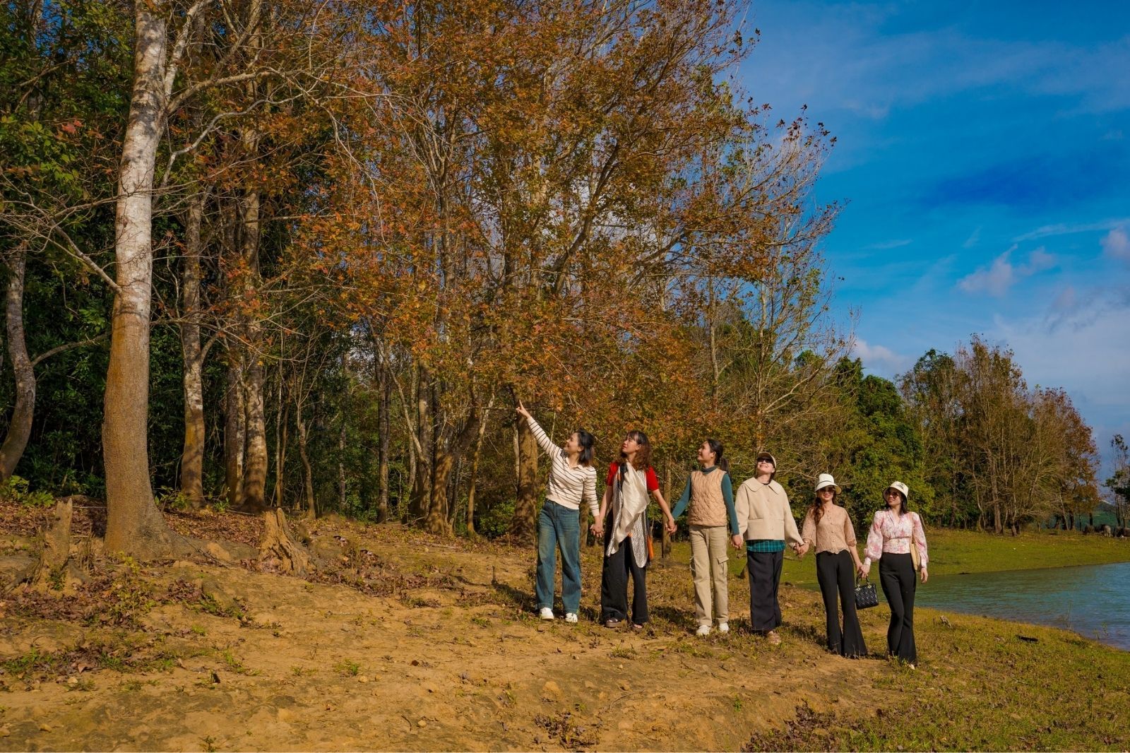 Không phải Hàn Quốc, Nhật Bản, đây là rừng phong ở Việt Nam: Du khách nhận xét "Chẳng cần đi nước ngoài"- Ảnh 10.