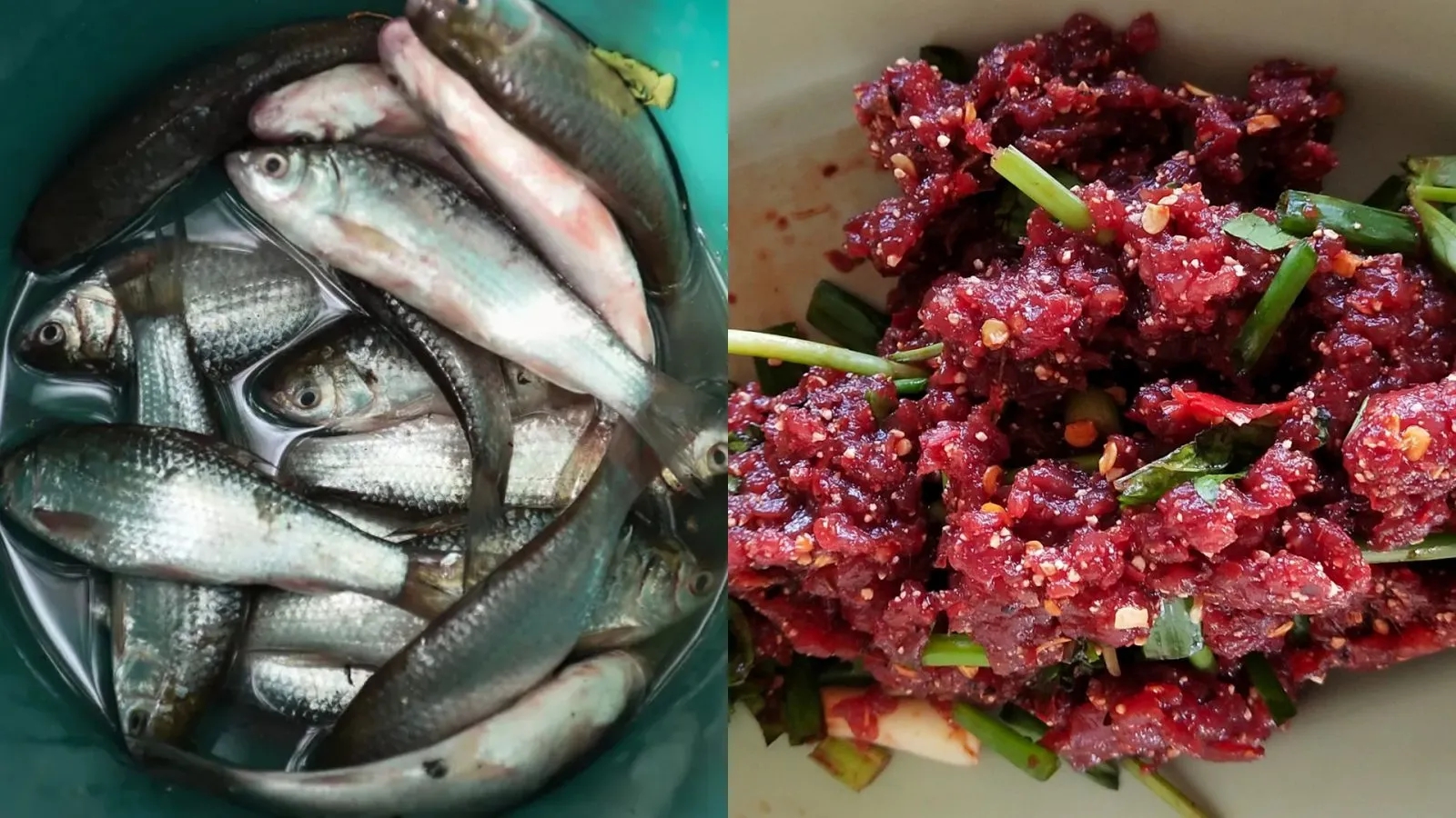 2 Loại Cá Làm Tăng Nguy Cơ Mắc Ung Thư: Là Món ‘Khoái Khẩu’ Của Nhiều Người- Ảnh 2.