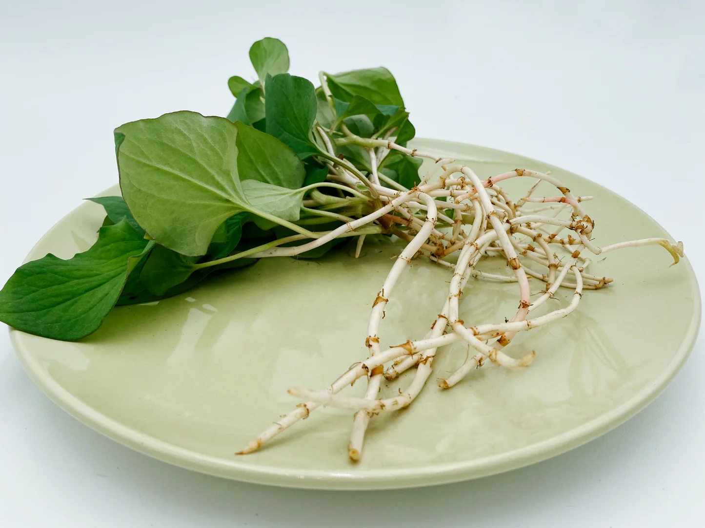 Loại rau người Trung Quốc v&iacute; l&agrave; 