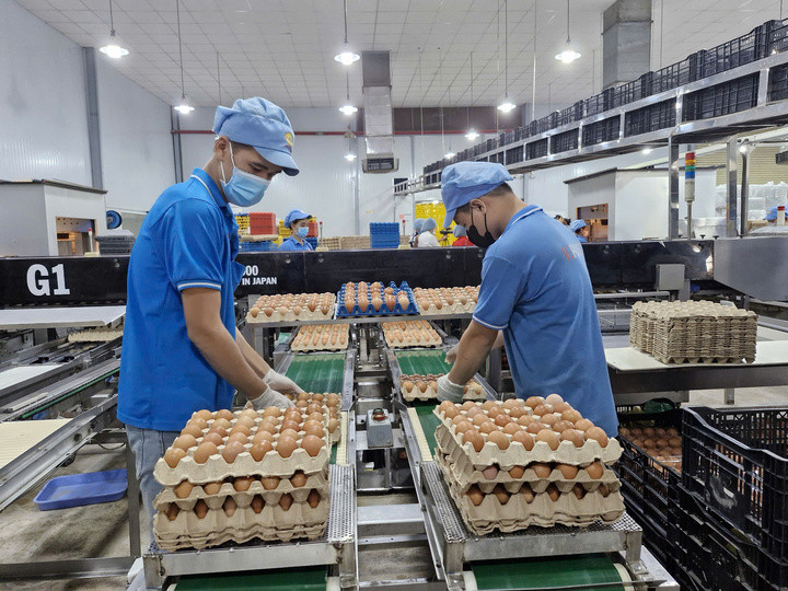 Nợ thuế, Bảo hiểm xã hội gần 58 tỷ, Ba Huân có tác động đến bình ổn thị trường?- Ảnh 3.