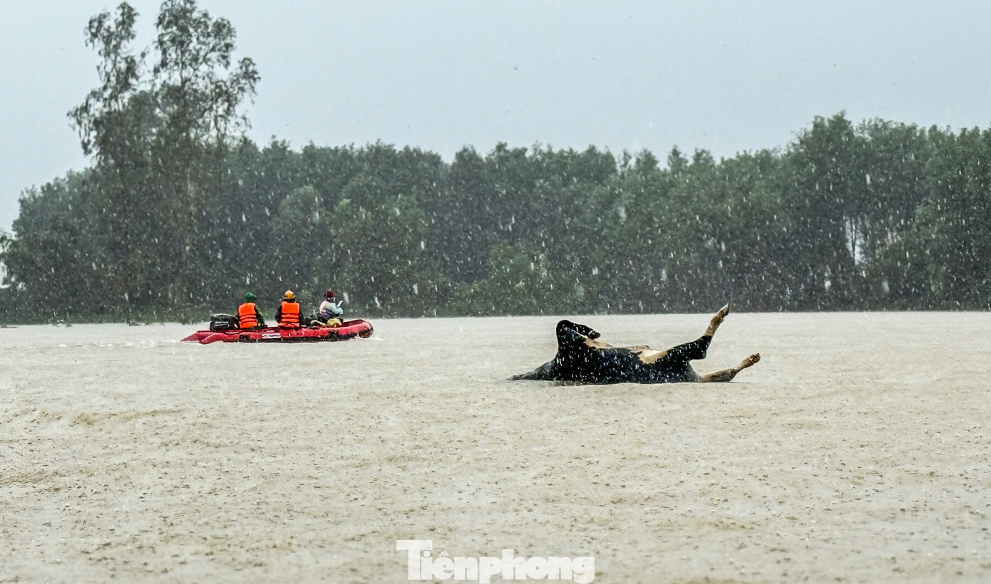 Ông 72 tuổi ngồi trên bàn thờ 36 tiếng giữa nước lũ; Trận lũ lịch sử đã làm 85 người chết, mất tích- Ảnh 4. Ông 72 tuổi ngồi trên bàn thờ 36 tiếng giữa nước lũ; Trận lũ lịch sử đã làm 85 người chết, mất tích- Ảnh 4.