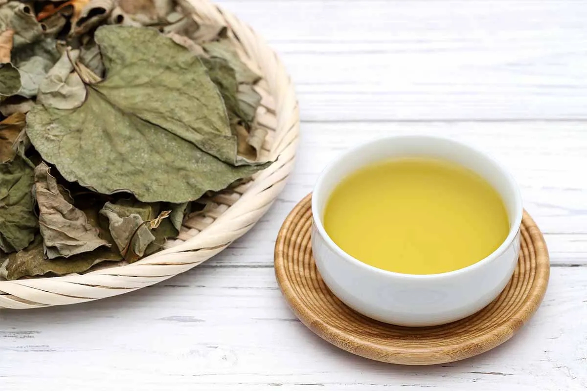 Loại rau người Trung Quốc v&iacute; l&agrave; 