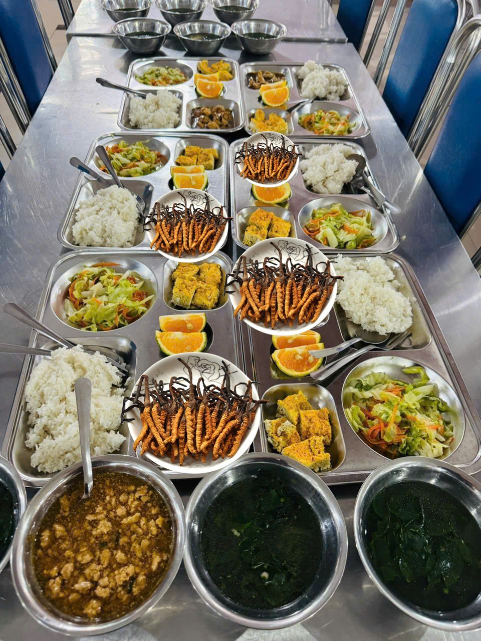 Xuất hiện bữa ăn toàn đông trùng hạ thảo xa xỉ gây sốt ở 1 trường học Hà Nội: Thực hư ra sao?- Ảnh 1.