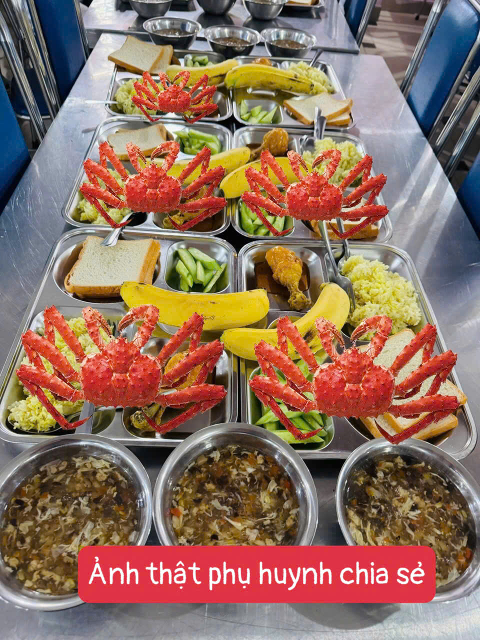 Xuất hiện bữa ăn toàn đông trùng hạ thảo xa xỉ gây sốt ở 1 trường học Hà Nội: Thực hư ra sao?- Ảnh 3.