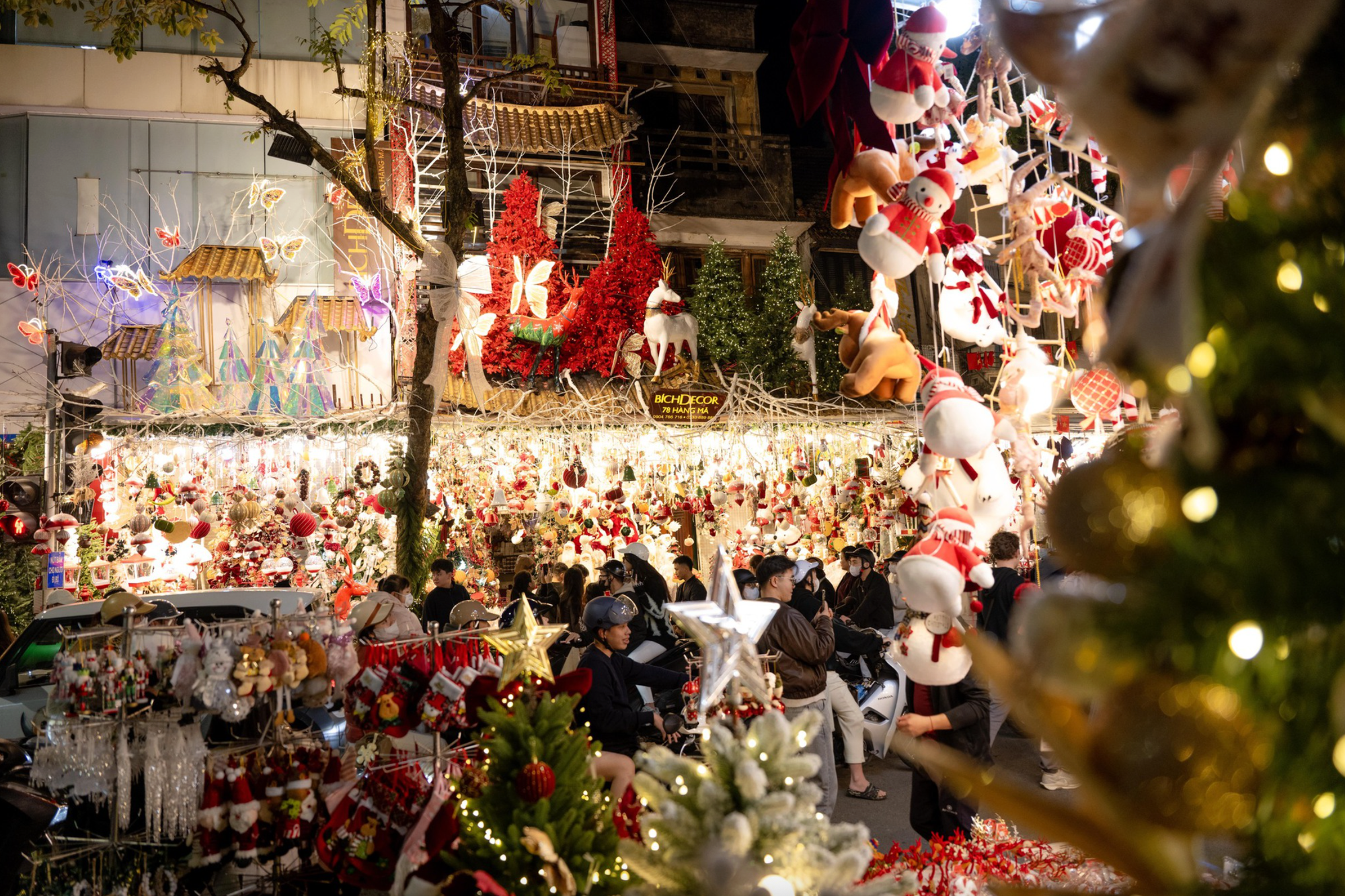 Cảnh tượng tại 