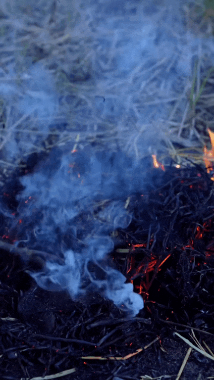 Thịt chuột đồng - món 