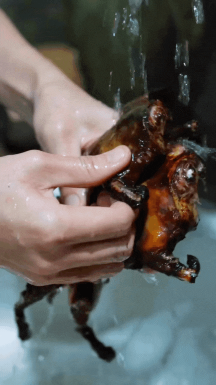 Thịt chuột đồng - món 