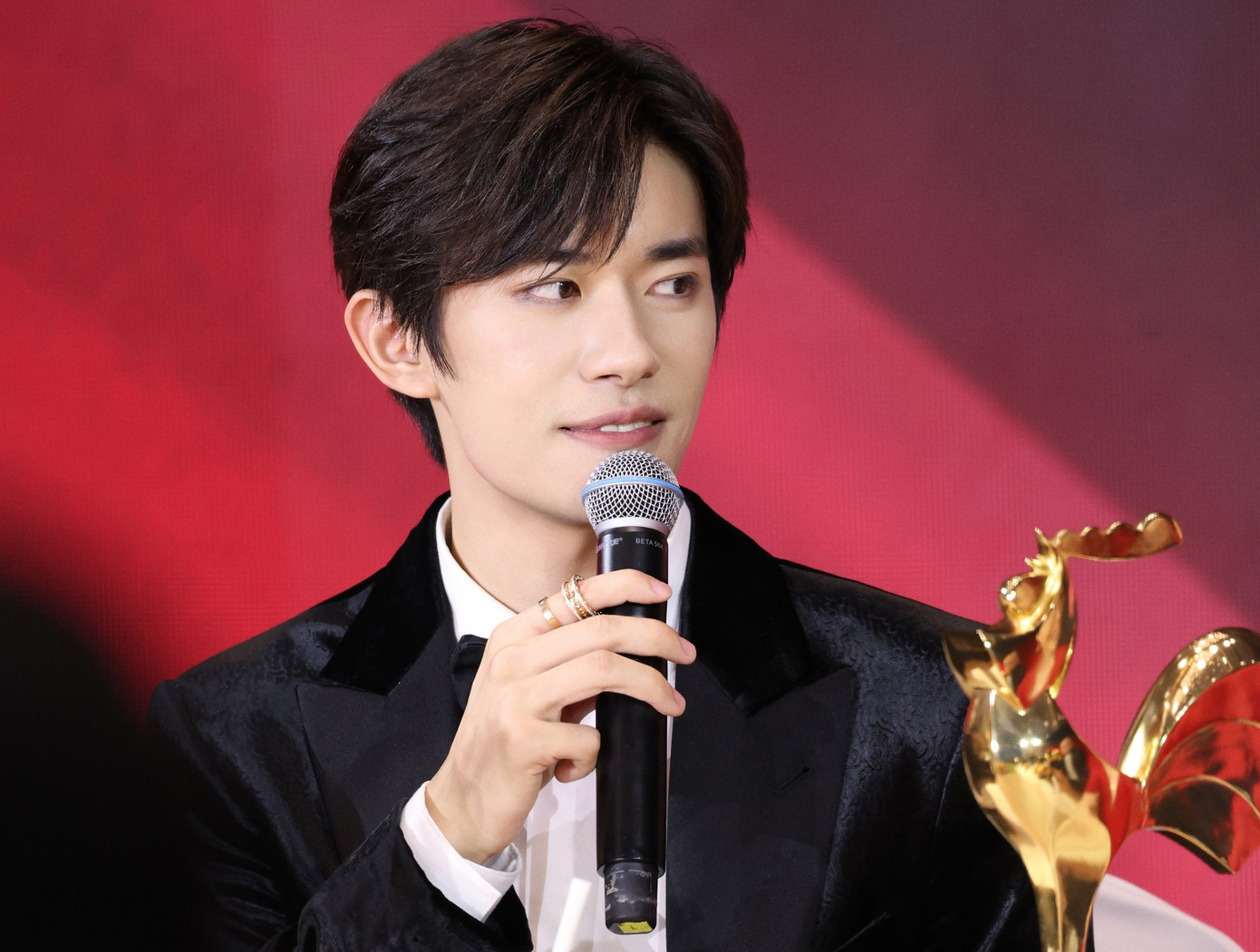 Nam diễn viên chưa từng thất bại- Ảnh 3.