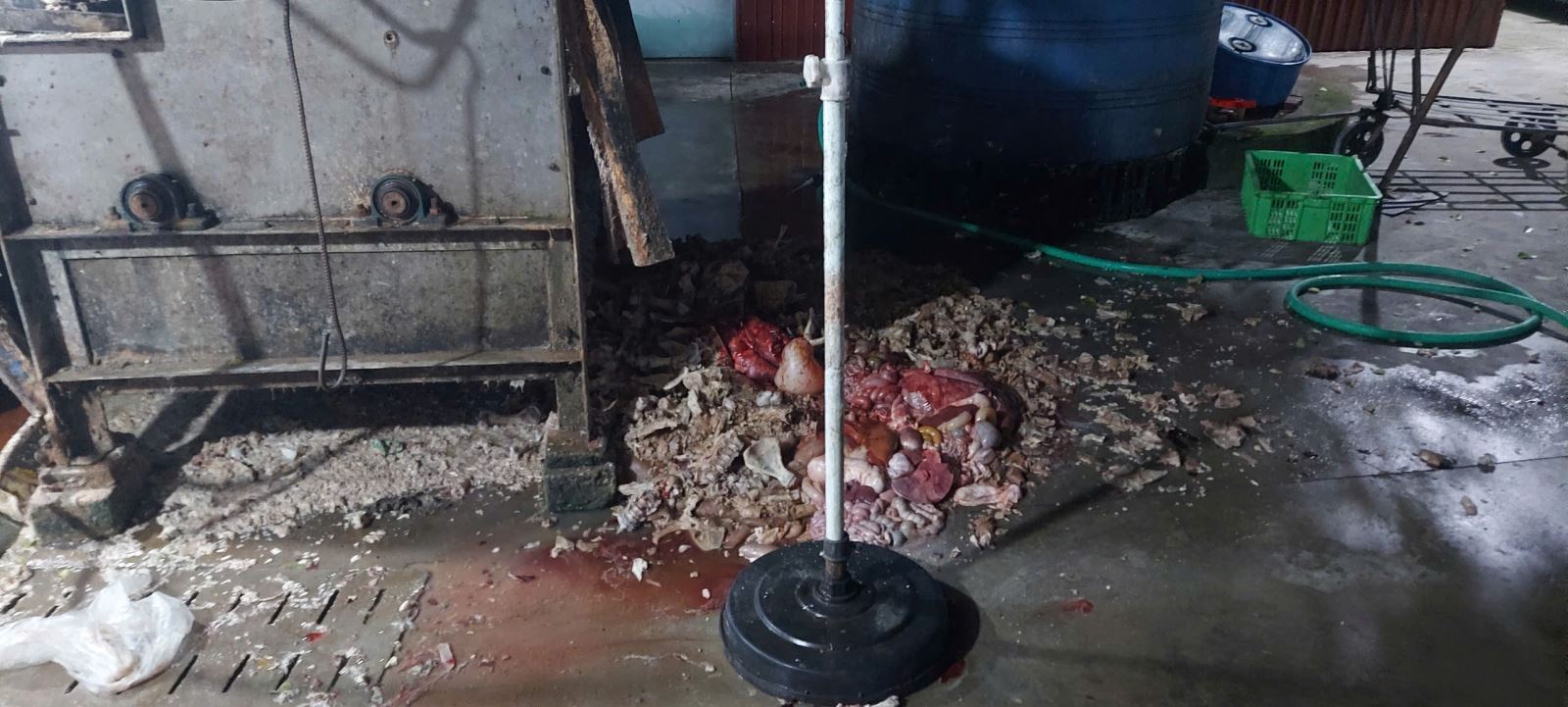 Khởi tố 2 vợ chồng Nguyễn Thị Hồng Huệ- Ảnh 2. Khởi tố 2 vợ chồng Nguyễn Thị Hồng Huệ- Ảnh 2.